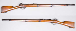M1869 Werder Rifle
