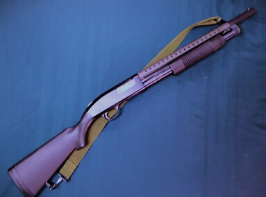 Mossberg 500